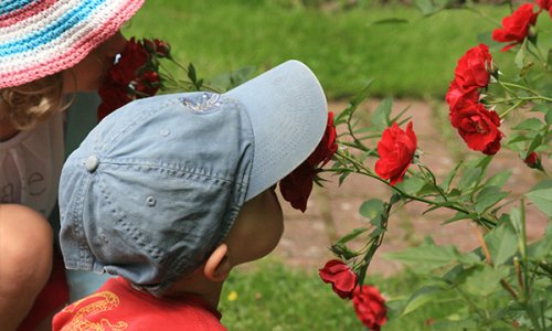 Where did you get this from?